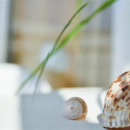 Vassilia 2* Rhodes City